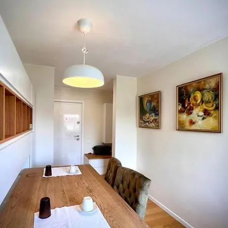 Bright And Modern Apartment Timisoara